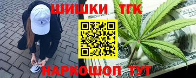 индика Новозыбков