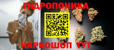 гидропоника Новокубанск