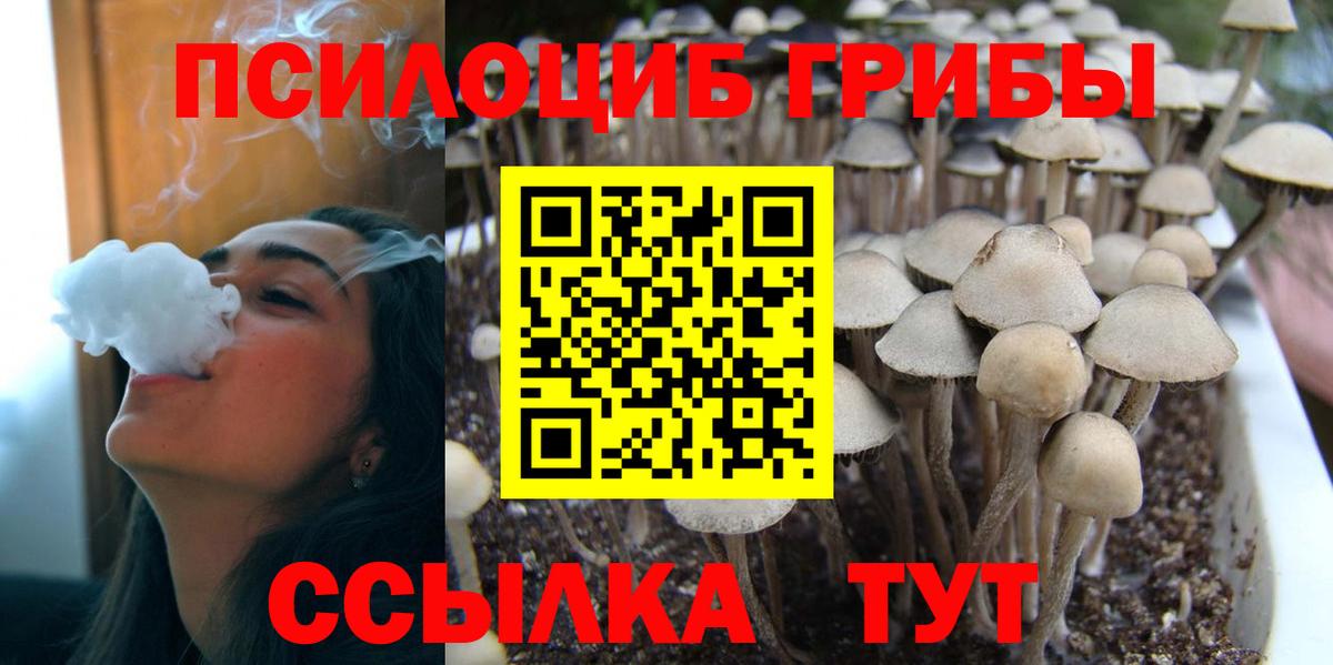 Галлюциногенные грибы мухоморы Свободный