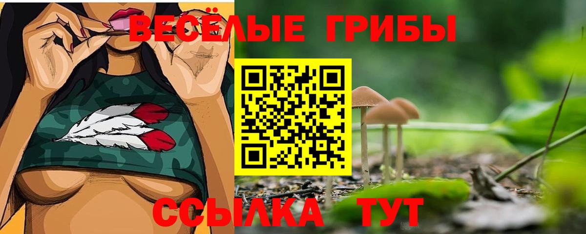 Свободный  Псилоцибиновые грибы GOLDEN TEACHER  Вход с VPN  цена наркотик  Галлюциногенные грибы GOLDEN TEACHER 